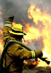 foto (17)  IMAGEN FOTOGRAFIA